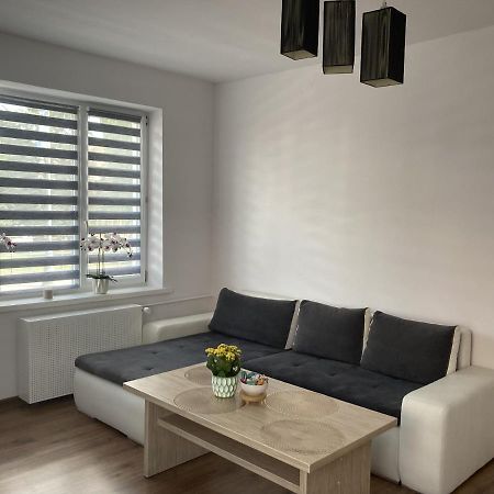 Apartament W Centrum Malborka Exteriör bild