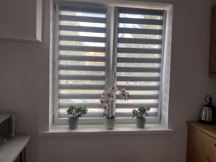 Apartament W Centrum Malborka Exteriör bild